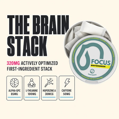 Wintergreen - Focus+ Pouches